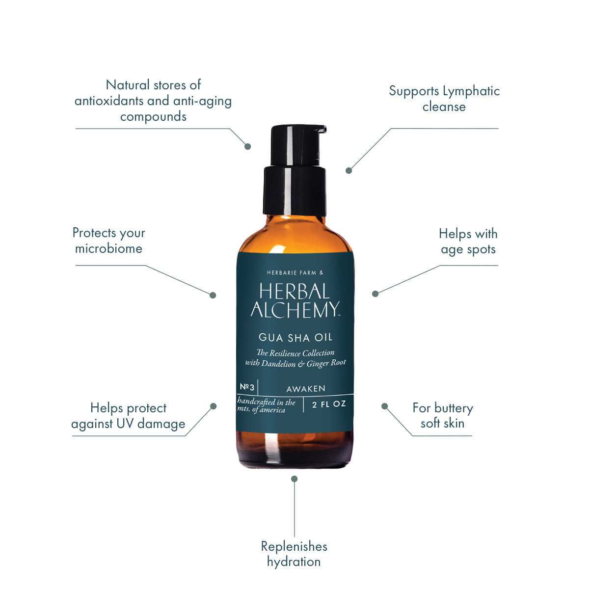 Cold Pressed Gua Sha Oil - Resilience