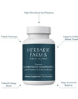 Superfood Nootropic