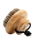 Activating Dry Brush